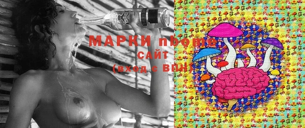 индика Алзамай