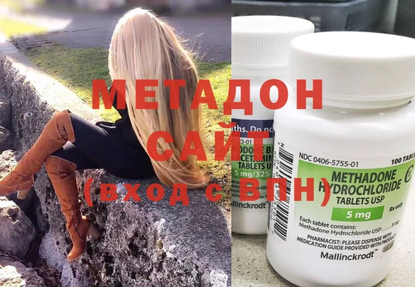 индика Алзамай