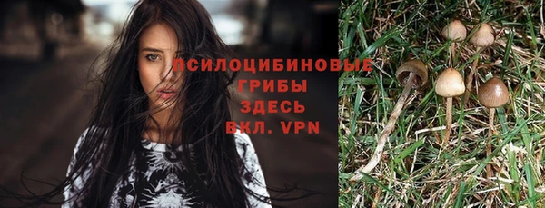 индика Алзамай