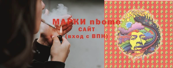 индика Алзамай
